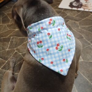 Handmade - Cherry Gingham Dog Bandana